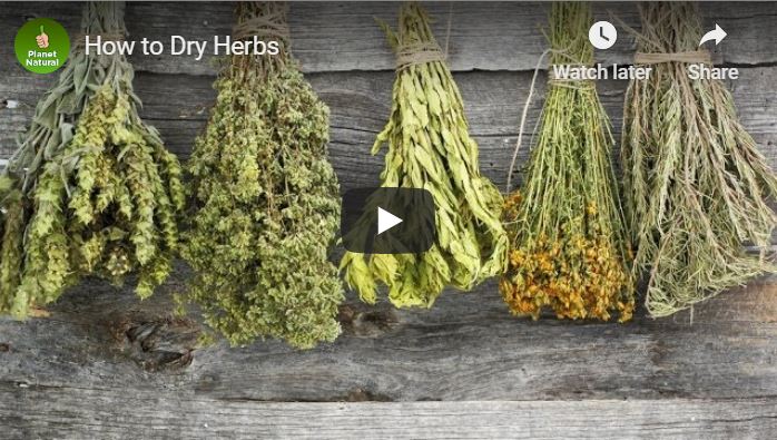 How to Dry Herbs at Home